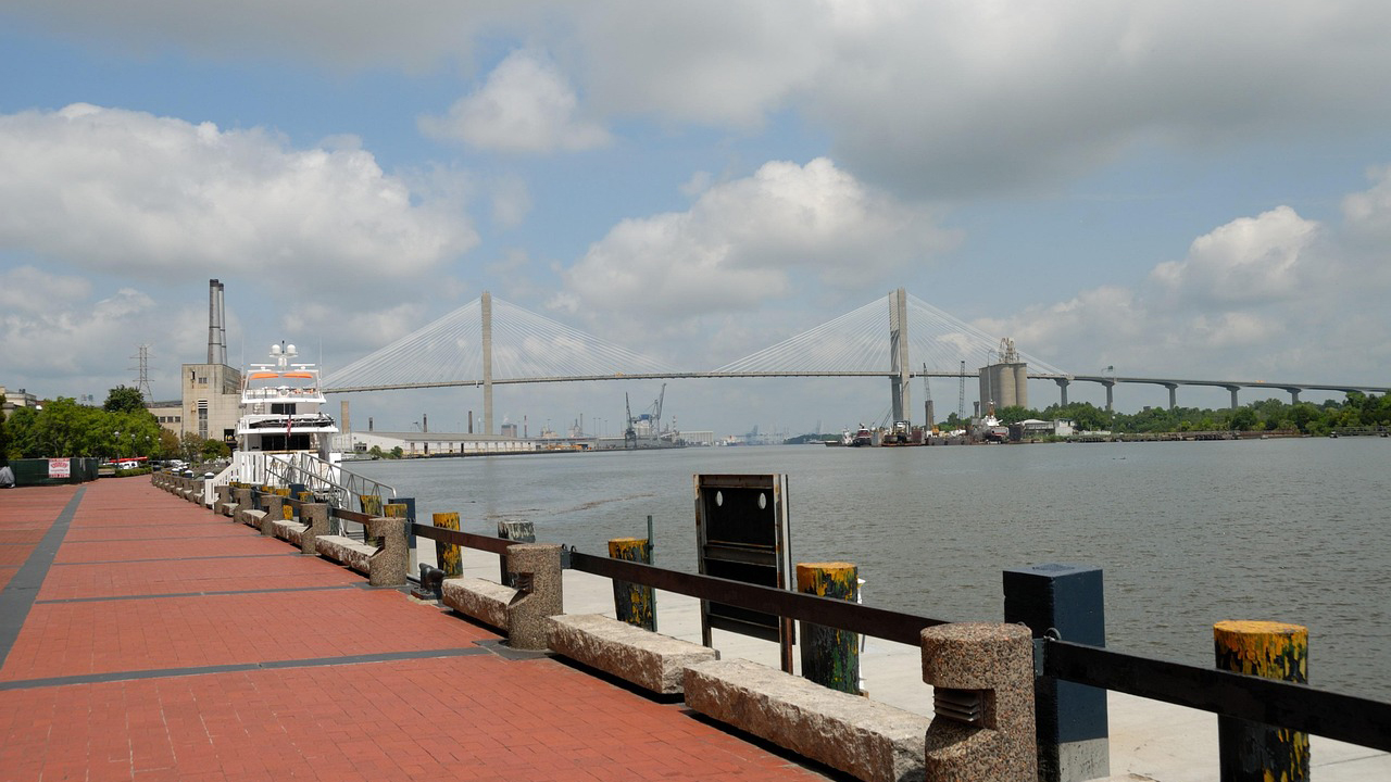 savannah-2082912_1280